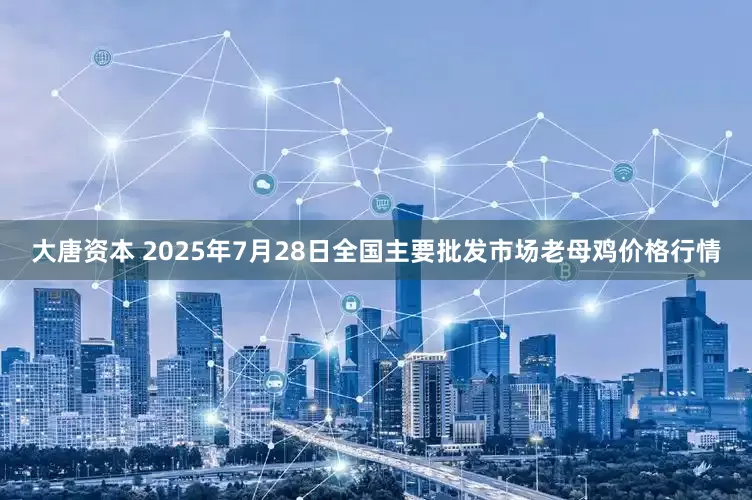 大唐资本 2025年7月28日全国主要批发市场老母鸡价格行情